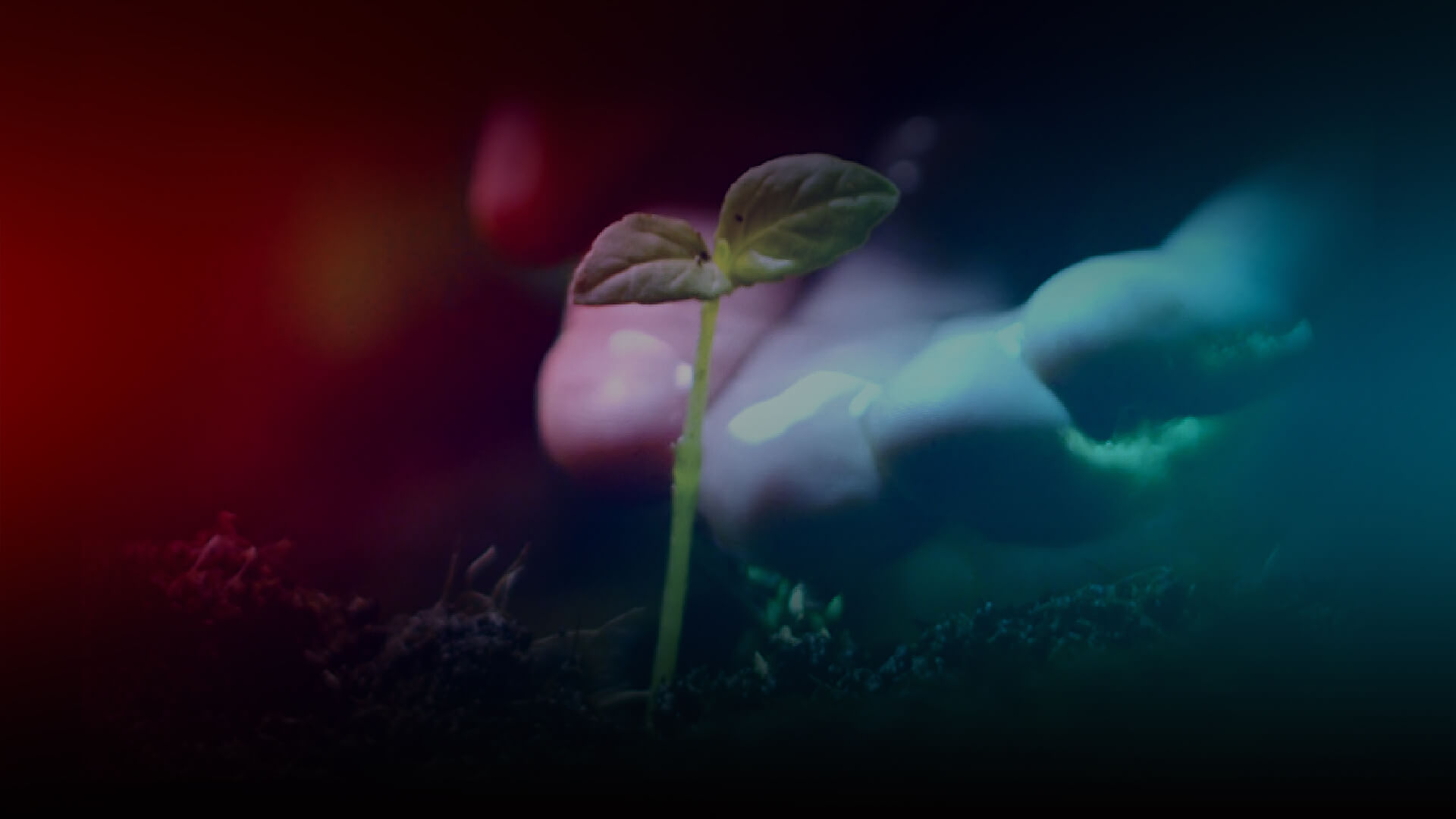 foodforlife: Lets Save the world with Sustainable Food system